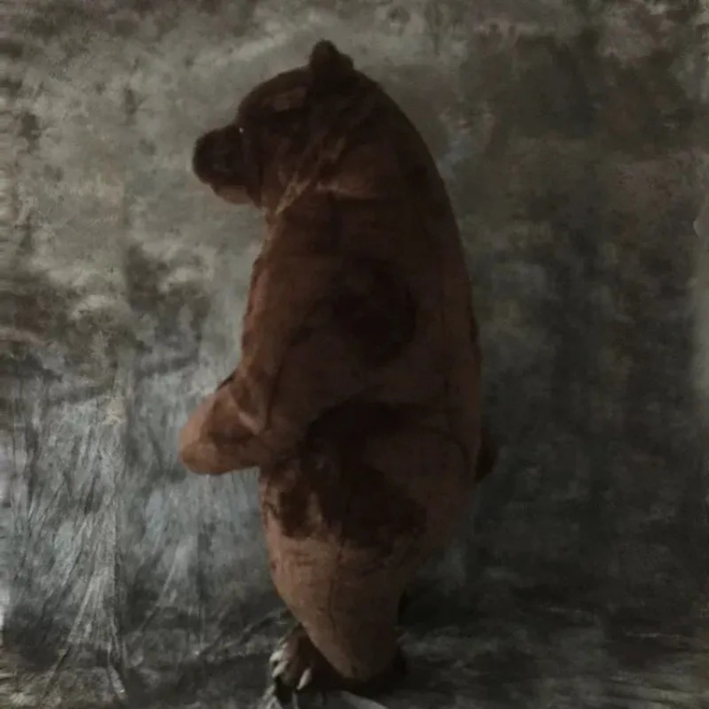 Fato de mascote de urso-pardo  - Chargers avaliação e preço